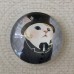 25mm Art Glass Backed Cabochons - Cat Face 7 - Each 25mm Art Glass Backed Cabochons - Cat Face 7 - Each