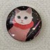 25mm Art Glass Backed Cabochons - Cat Face 15 - Each 25mm Art Glass Backed Cabochons - Cat Face 15 - Each