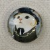 25mm Art Glass Backed Cabochons - Cat Face 5 - Each 25mm Art Glass Backed Cabochons - Cat Face 5 - Each