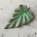 38x23mm Patinaed Vintaj Natural Brass Woodland Leaf Pendant