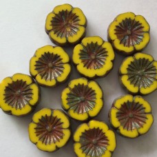 14mm Czech Table-Cut Hibiscus Flowers - Dandylion with Picasso Finish