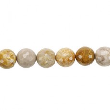 8mm Faceted B-Grade Natural Fossil Coral Beads - Per Strand (20 beads)