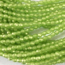 4mm Czech Fire Polished Beads - Sueded Gold Olivine - Pack of 50