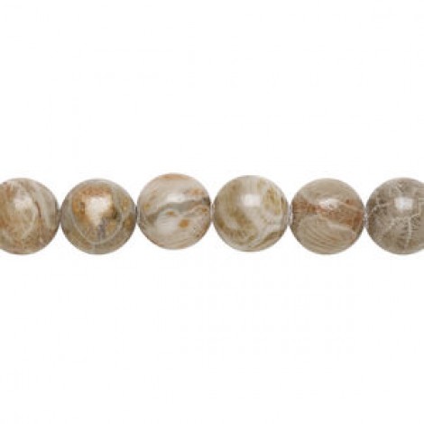 8mm Natural Fossil Coral Round Beads - 16 inch Strand 8mm Natural Fossil Coral Round Beads - 16 inch Strand