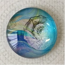 25mm Art Glass Backed Cabochons - Seashell