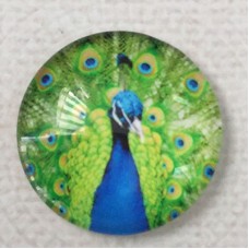 25mm Art Glass Backed Cabochons - Peacock Design 3