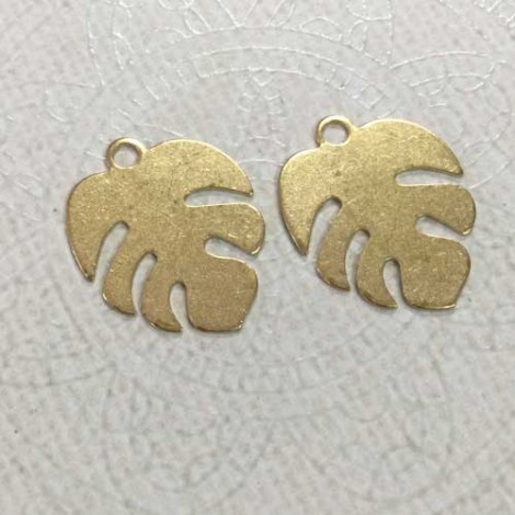 22x17x0.5mm Raw Brass Monstera Leaf Charms with 1 Loop