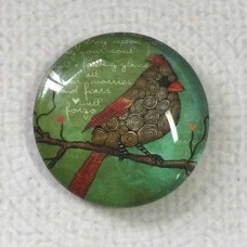 25mm Art Glass Backed Cabochons - Australian Native Birds 10 - Each