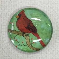 25mm Art Glass Backed Cabochons - Australian Native Birds 6