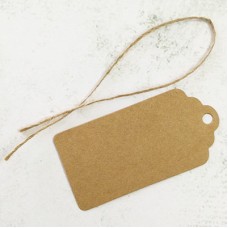 4x8cm Kraft Paper Luggage Tag Shape Tag Cards with Jute Cord - Natural Brown - Pk of 100
