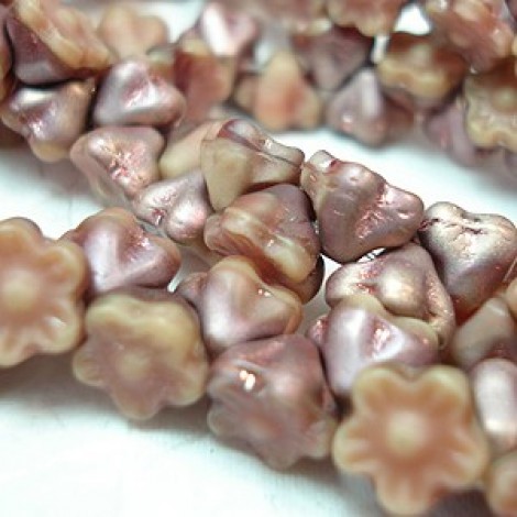 7mm Czech Flower Cup Beads - Matte Apollo-Carmel/Pink - Pack of 20