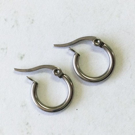 15x2mm 304 Stainless Steel Euro Hoop Earrings
