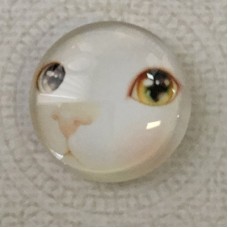 25mm Art Glass Backed Cabochons - Cat Face 1