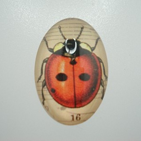 30x20mm Glass Cabochon w/Red Ladybug - Pack of 2