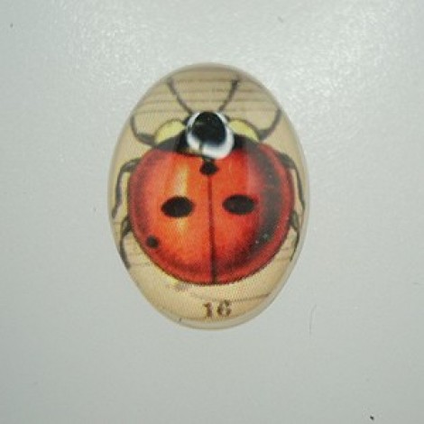 18x13mm Glass Cabochon w/Red Ladybug