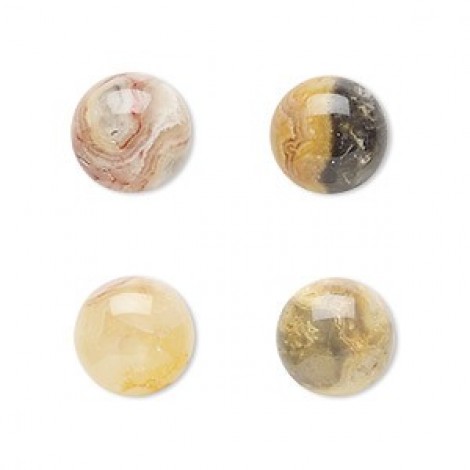 12mm Round Crazy Lace Agate Cabochons