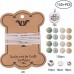 DIY Natural Amazonite Bracelet Making Kit DIY Natural Amazonite Bracelet Making Kit