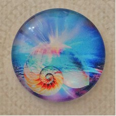 25mm Art Glass Backed Cabochons - Seashell in the Ocean - Each