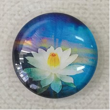 25mm Art Glass Backed Cabochons - Waterlily 1
