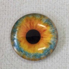 25mm Art Glass Round Cabochons - Dragon Eye 7