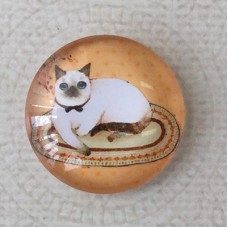 25mm Art Glass Backed Cabochons - Cosmopolitan Cats 5 - Each