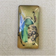 19x38mm Rectangle Art Glass Backed Cabochons - Scarab Beetle - Each