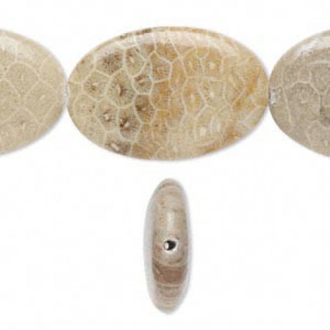 30x20mm Fossil Coral Oval Beads