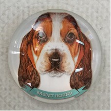 25mm Art Glass Round Cabochons - Basset Hound Dog - Each