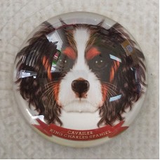 25mm Art Glass Round Cabochons - Cavalier King Charles Dog - Each