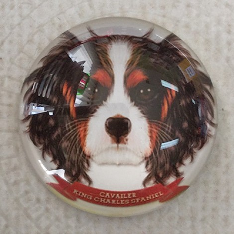 25mm Art Glass Round Cabochons - Cavalier King Charles Dog