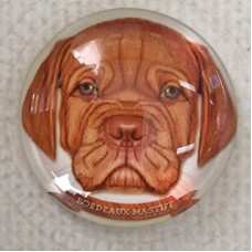 25mm Art Glass Round Cabochons - Bordeaux Mastiff Dog