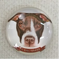 25mm Art Glass Round Cabochons - Pit Bull Dog - Each