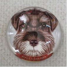 25mm Art Glass Round Cabochons - Schnauzer Dog - Each