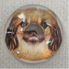 25mm Art Glass Round Cabochons - Pekingese Dog - Each