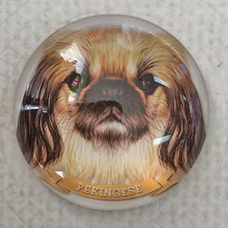 25mm Art Glass Round Cabochons - Pekingese Dog
