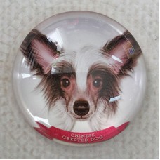 25mm Art Glass Round Cabochons - Chinese Crested Dog