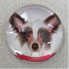 25mm Art Glass Round Cabochons - Chinese Crested Dog - Each