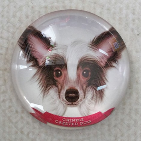 25mm Art Glass Round Cabochons - Chinese Crested Dog