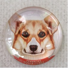 25mm Art Glass Round Cabochons - Pembroke Welsh Corgi Dog - Each