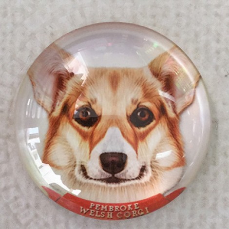25mm Art Glass Round Cabochons - Pembroke Welsh Corgi Dog