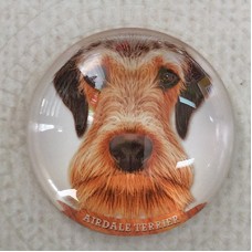 25mm Art Glass Round Cabochons - Airdale Dog
