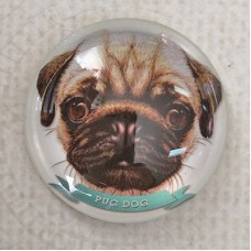 25mm Art Glass Round Cabochons - Pug Dog - Each