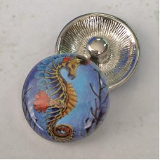 20mm Noosa Style Magnificent Seahorse Painting Enamel Snap Chunks