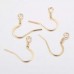 17mm 20ga 304 18K Gold Plated Stainless Steel Flattened French Earring Hooks - 10 Pair