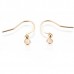 16.5mm 22ga (.6mm) 304 Gold Plated Stainless Steel Flattened French Earring Hooks w-2.5mm Ball - Pack of 10 Pair 16.5mm 22ga (.6mm) 304 Gold Plated Stainless Steel Flattened French Earring Hooks w-2.5mm Ball - Pack of 10 Pair