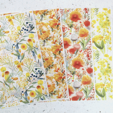 9.5x13.5cm Coral Cockatoo Water Soluble Transfer Sheets - Watercolour Australian Golden Yellow Botanicals