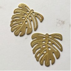 21x22x0.5mm Raw Brass Monstera Leaf Charms with 1 Loop