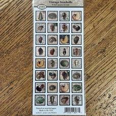 7/8" (23mm) Vintage Seashells Designer Collage Paper -32 images
