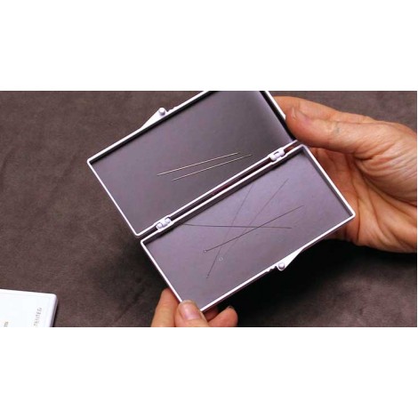 Needle Safe Magnetized Needle Case - Small