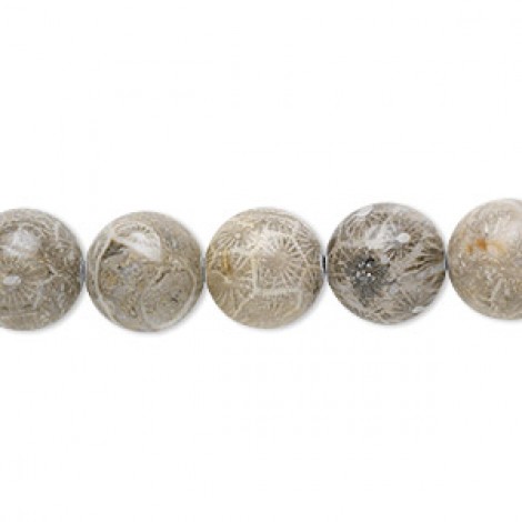 10mm Natural Fossil Coral Round Beads